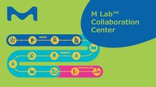 M Lab™ Collaboration Centers Process Capabilities