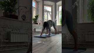 #йогавидео #йогаонлайн #йогакаждыйдень #yogaforbeginners #hathayoga #yogapractice