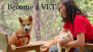 Become a vet #2 - Why Study Veterinary Medicine in Eastern Europe?