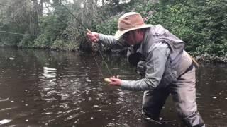 Dry fly on small streams