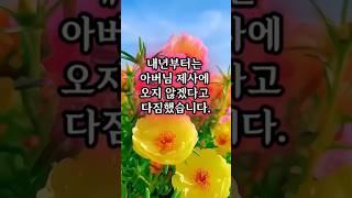 시어머니의 뒷담화 내용이 너무 충격적입니다. #라디오드라마 #사연 #사연라디오 #시댁썰 #반전사연 #뒷담화