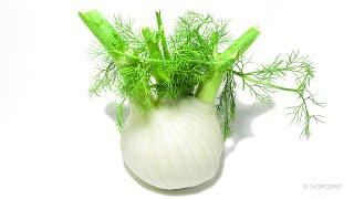 Fennel