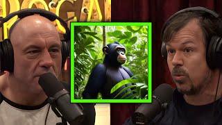 JRE: Inside the World of Wild Chimps: A Filmmaker's Journey