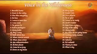 Voice in the Wilderness