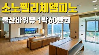 소노펠리체 델피노(고성)