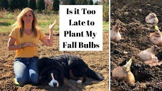 Is it Too Late to Plant my Fall Bulbs