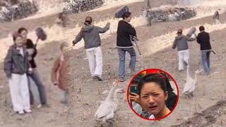 Zhao Lusi was chased by a goose and she ran fast while laughing, Deng Wei and Hu Yitian updates