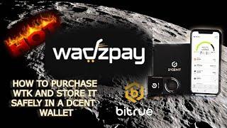 WADZPAY WTK  Will go to the moon! How to purchase WTK and safely store it.