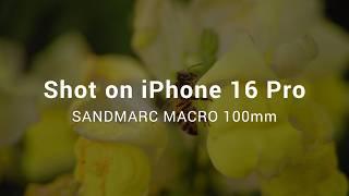 iPhone 16 Pro + SANDMARC Macro Lens | Cinematic 4K