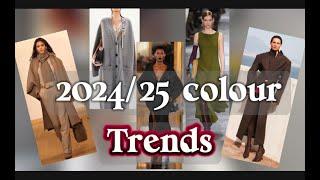 5 Most Popular Colours of Autumn & Winter 24/25 || Colour Trend Analysis