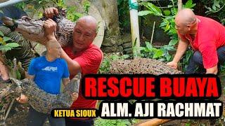 VIRAL. !!! HERU GUNDUL EVAKUASI BUAYA alm AJI RACHMAT  korban gigitan KING COBRA