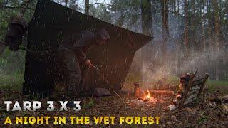 Solo bushcraft overnight camping in a wet forest, Tarp shelter, no talking