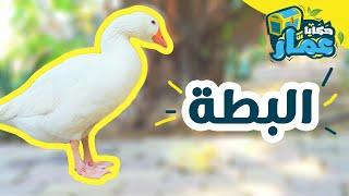 حكايا عمّار | الحلقة الأولى | " البطة "