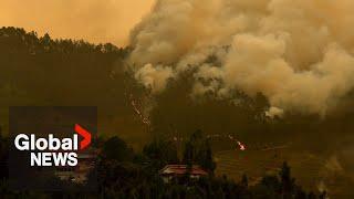 Portugal wildfires: Emergency services pushed to limit as reinforcements arrive