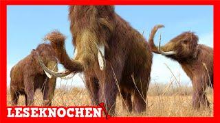 Warum sind die Mammuts ausgestorben? | Deutscher Untertitel für Gehörlose