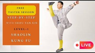 Shaolin Kung Fu Level-1| Step-by-Step with Shifu Yan Xin - Train like a True Shaolin Warrior at Home