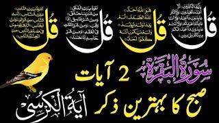 Morning Dua | Surah Fatiha | Ayatul Kursi | Surah Baqarah 2 Ayat | 4 Quls | Darood Ibrahimi