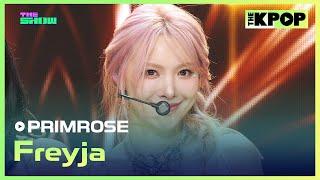 PRIMROSE, Freyja (프림로즈, Freyja) [THE SHOW 240625]