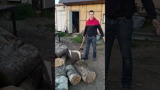 Больше наших будней в ВК: tashkiptashki #ташкипташки #жизньвдеревне #юмор #дача #топ #огород