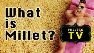 What is Millet and why Millets? | Millets TV