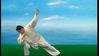 Chinese Kungfu Tai Chi Tutorial[en&cn] - Old Frame Punch B 陈氏太极拳老架2