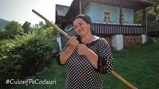 Familia care reînvie tradiția măiereană: REGHINA și VASILE COBZAȘ din com. MAIERU, jud. BN ( 2022)