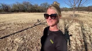 "Pecan Harvest Time-It’s a Family Affair" Small Pecan Farm Update-Late December Pecan Progress Ep.4