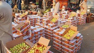 Balochistan Special Quality Apricot | Swat fresh peach | Waziristan Premium Quality Plum |