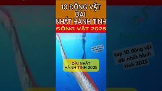 TOP 10 ĐỘNG VẬT THÔNG MINH NHẤT HÀNH TINH 2025 #shortsvideo