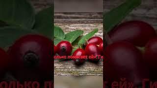 шиповник  #здоровье #шиповник