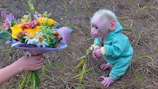 Baby monkey Poki gives flowers to his mother while Pupu is away.