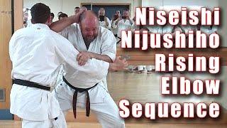 Practical Kata Bunkai: Nijushiho / Niseishi Rising Elbow Sequence