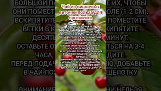 Чай из вишневых веточек #чай #вишневыеветочки