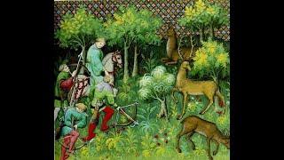 Forests in High Medieval Europe