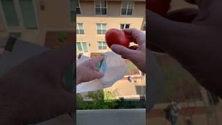 Can your dog poop bags handle this? #dog #bags #tomato #drop #experiment #dogmom #dogdad