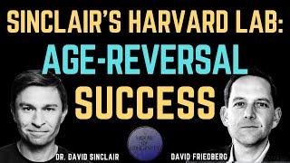 David Sinclair's lab reversed aging -David Friedberg explains