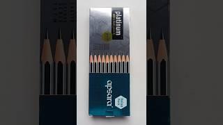 Apsara Platinum extra dark pencil 20 pcs pack with scale #stationery