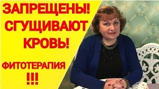 ЗАПРЕЩЕНЫ! Сгущивают кровь! Фитотерапия. Густая кровь. Домашний очаг с Мариной