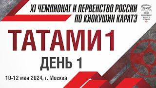 XI Чемпионат и Первенство России по Киокушин Каратэ СККР 2024. Татами 1. День 1