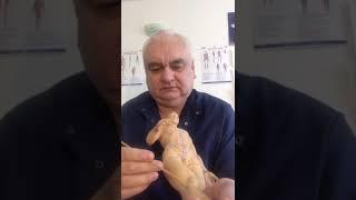 Точки от 100 болезней