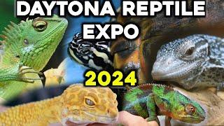 Daytona National Reptile Breeders' Expo 2024