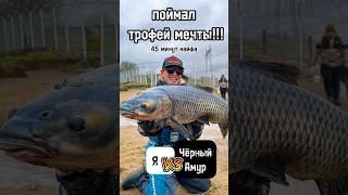 Огромный ЧЁРНЫЙ АМУР на АЭС️продолжение в профиле,ПОДПИШИСЬ #рыбалка #bigfish #спиннинг #трофей