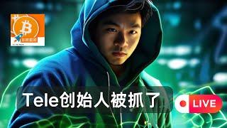 Telegram创始人被捕后TON 的 TVL 暴跌机构出逃，哪些项目有系统性风险？