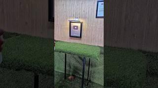Aquarium setup for monster fish
