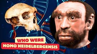 Who Were Homo Heidelbergensis | What We Know So Far