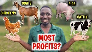 Chickens vs Pigs vs Goats vs Cattle | Which Is More PROFITABLE?