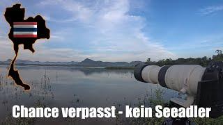 Thailand - Chance verpasst - kein Seeadler