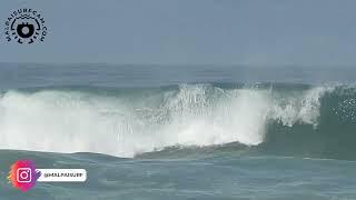 Costa Rica Surf Report 23/05/22 Surfing Santa Teresa