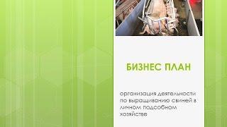 Готовый бизнес план | Заказать бизнес план | Идеи малого бизнеса