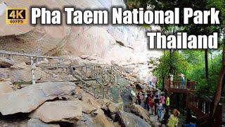 [4K] Pha Taem National Park - Amazing Nature in Isan | Ubonratchathani | Thailand ผาแต้ม